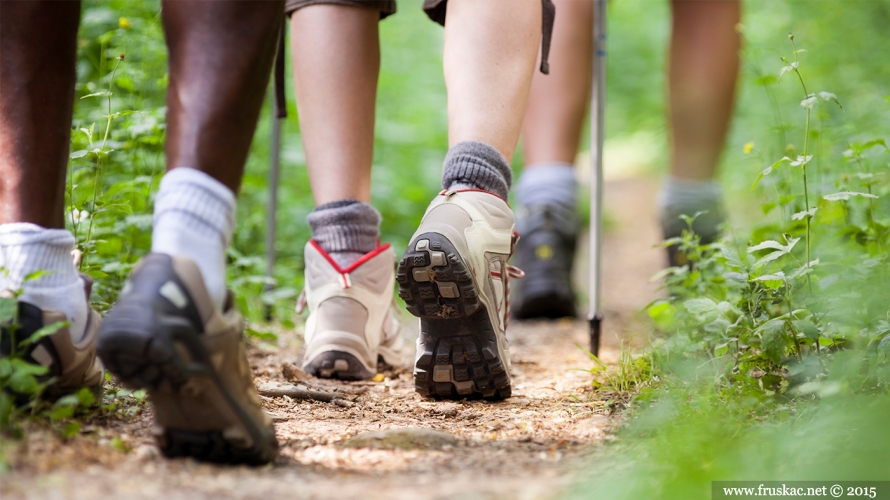 News - Pripremamo se za 42. Fruškogorski maraton - plan za mart 2019.