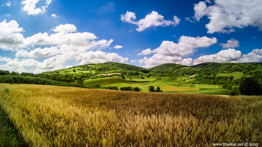 Life - 9 aktivnosti za zabavno leto na Fruškoj gori