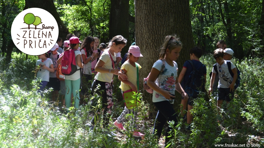 News - Adventure Day - proleće u šumi