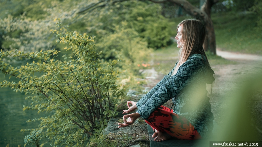 Nature - Doživi Shinri-ioku i „okupaj" se u imunološkom sistemu šume