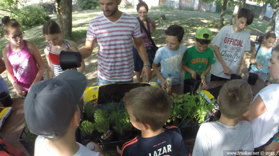 News - Kamp „Zelena Priča“ - Adventure Day Fruška gora
