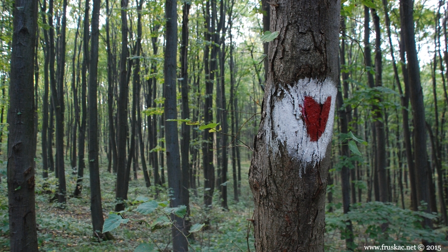 Nature - Pluća Fruške gore