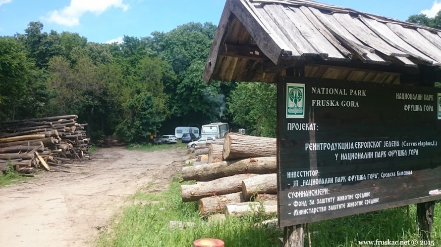 Nature - O seči šume u Nacionalnom parku Fruška gora