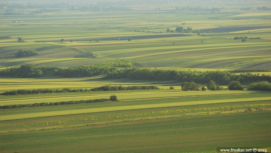 Nature - Fruška gora izvor energije i zdravlja