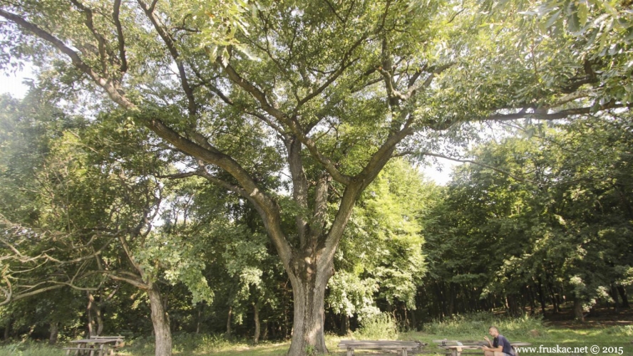 Picnic Areas - Izletište Široke ledine