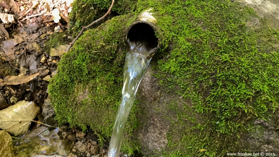 Springs - Babina česma Spring