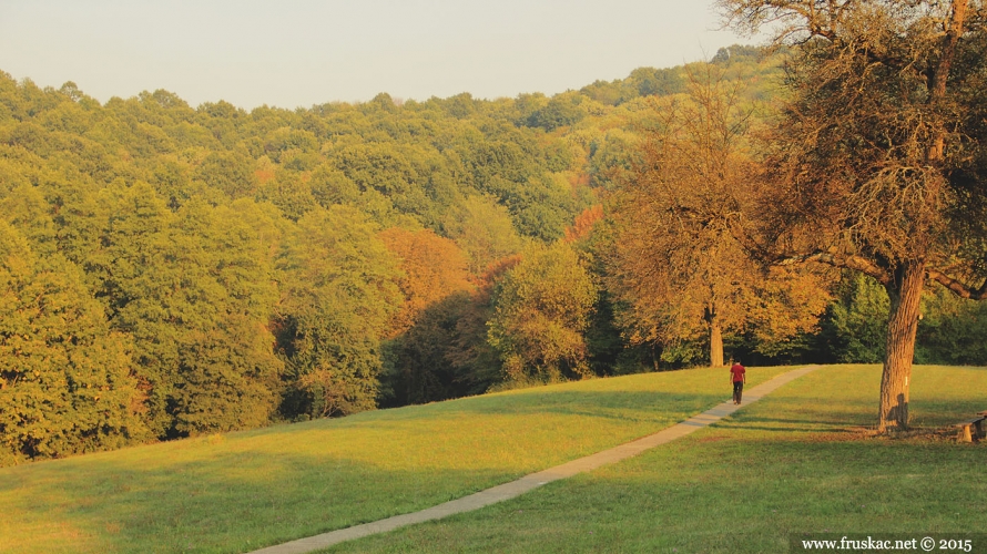 Picnic Areas - Andrevlje Picnic Area