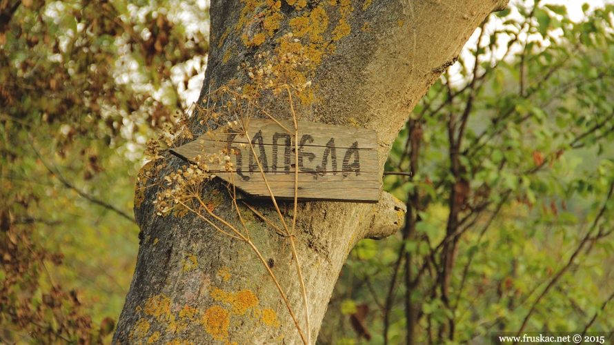 Springs - Sveta Petka Trnova Spring