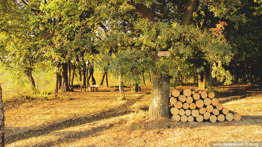 Picnic Areas - Izletište Rohalj baze