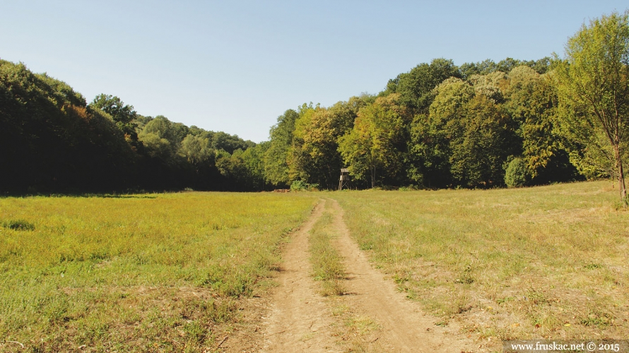 Meadows - Kosača Meadow