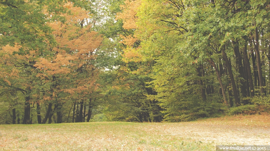 Picnic Areas - Izletište Jabuka