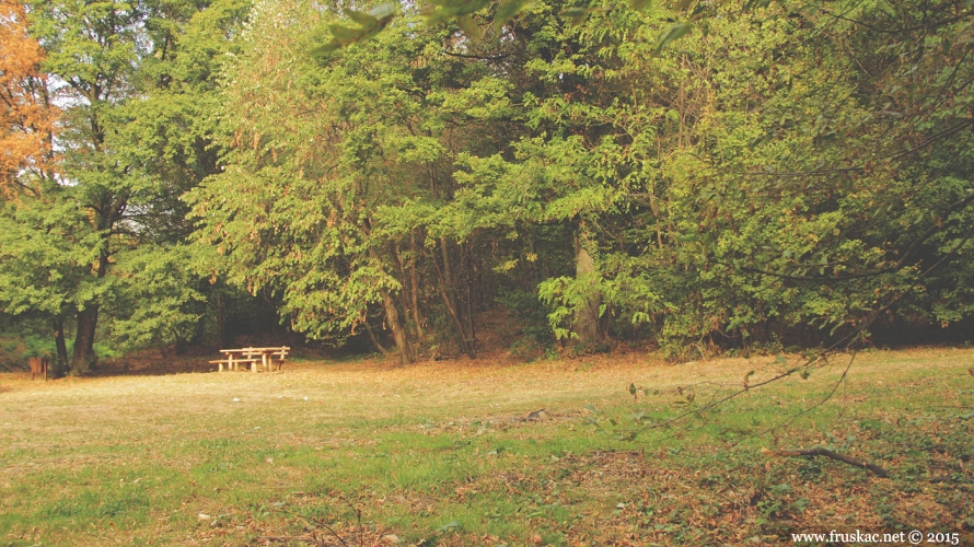 Picnic Areas - Kraljev Izvor Picnic Area