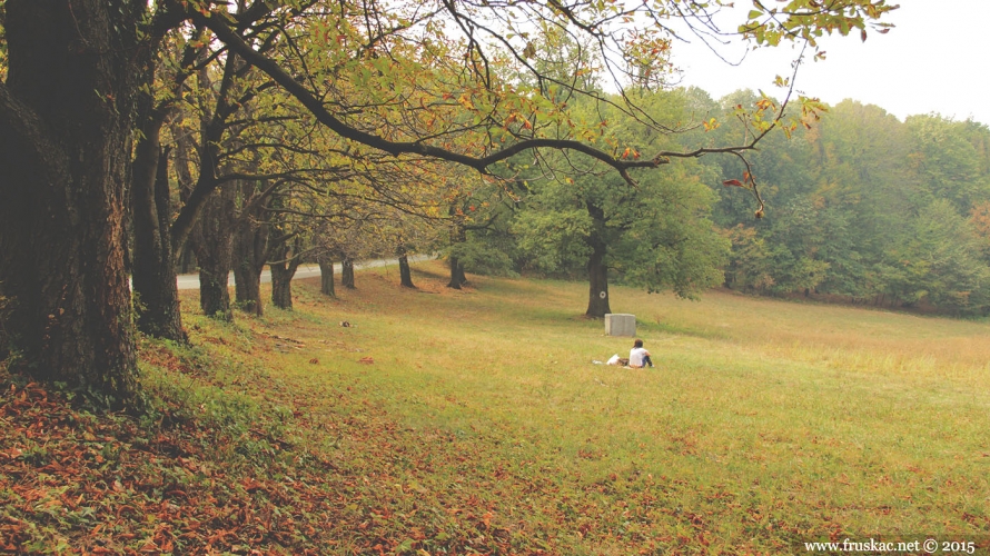 Picnic Areas - Letenka Picnic Area