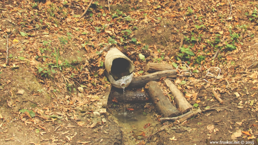 Springs - Kraljevac Spring