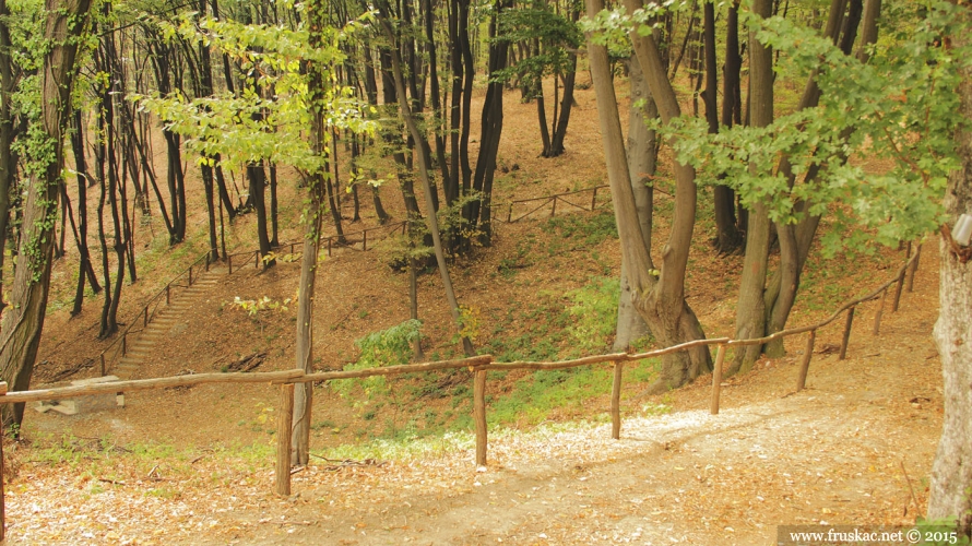 Springs - Sveti Đurđe Spring