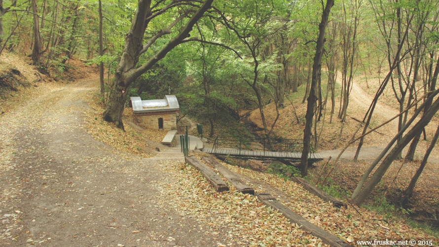 Springs - Staro Hopovo Spring