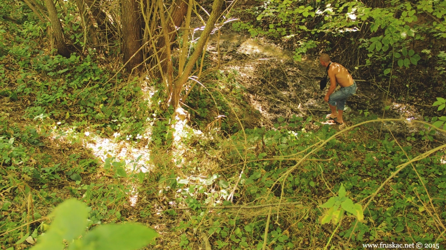 Springs - Čalambir Spring