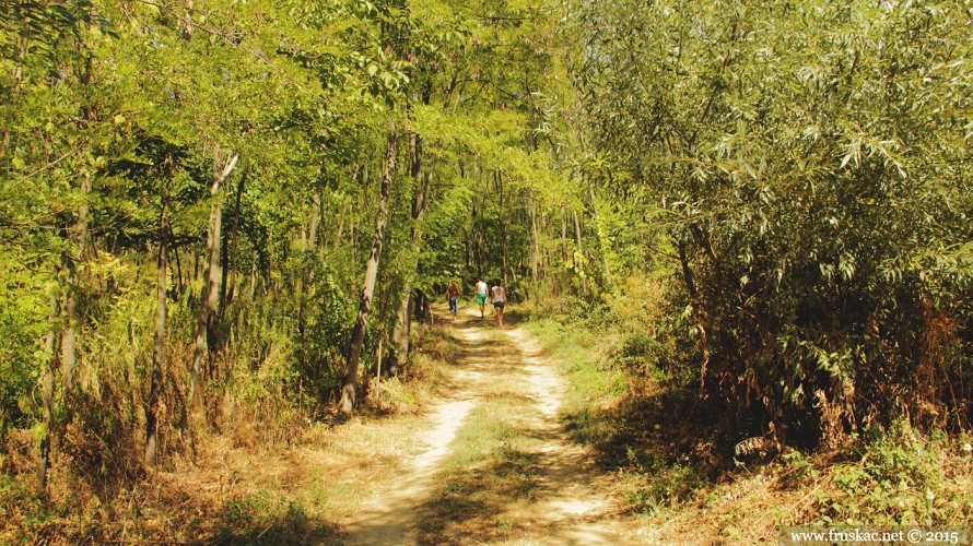 Springs - Ćoravac Spring