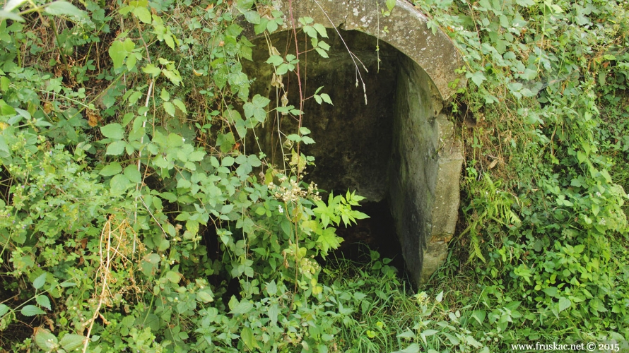 Springs - Orašje Spring