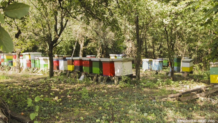 Springs - Mandalina Ćuprija Spring