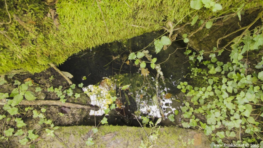 Springs - Mandalina Ćuprija Spring