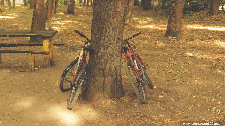 Picnic Areas - Borkovac Picnic Area