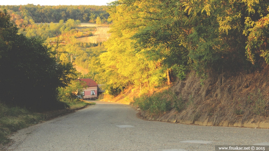 Springs - Izvor Perinac