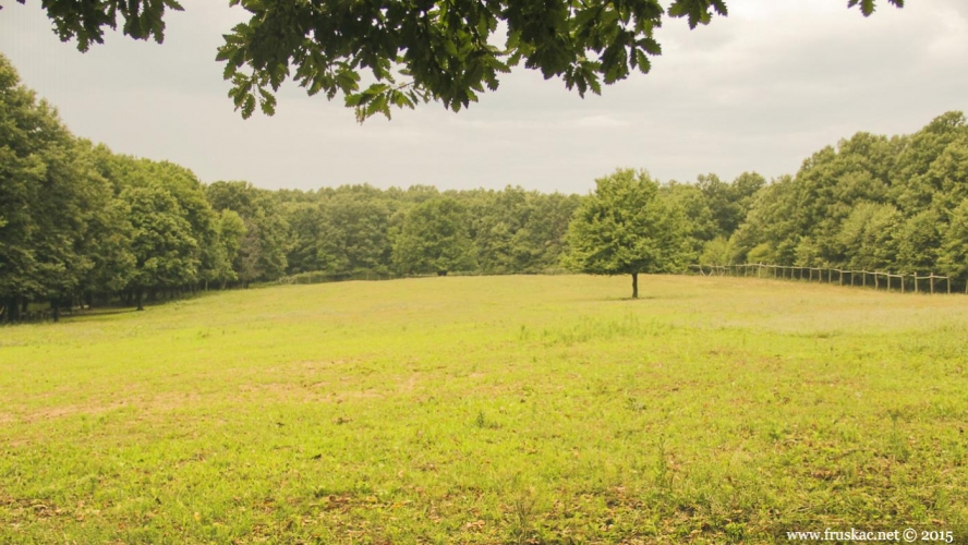 Meadows - Trešnjevac Meadow