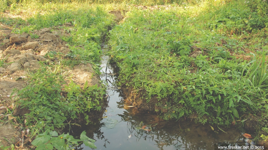 Springs - Kamarište Spring