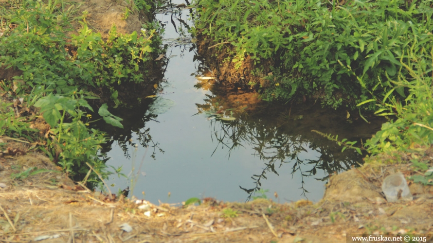 Springs - Kamarište Spring