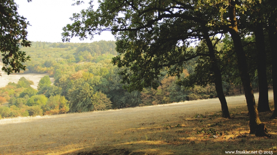 Meadows - Kišelez Meadow