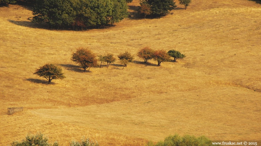 Meadows - Kišelez Meadow