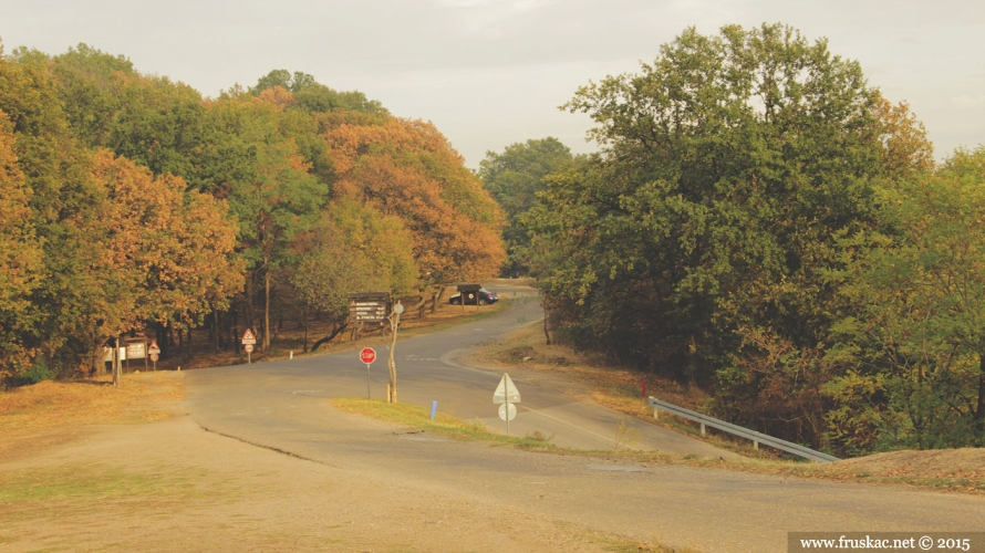 Picnic Areas - Zmajevac Picnic Area