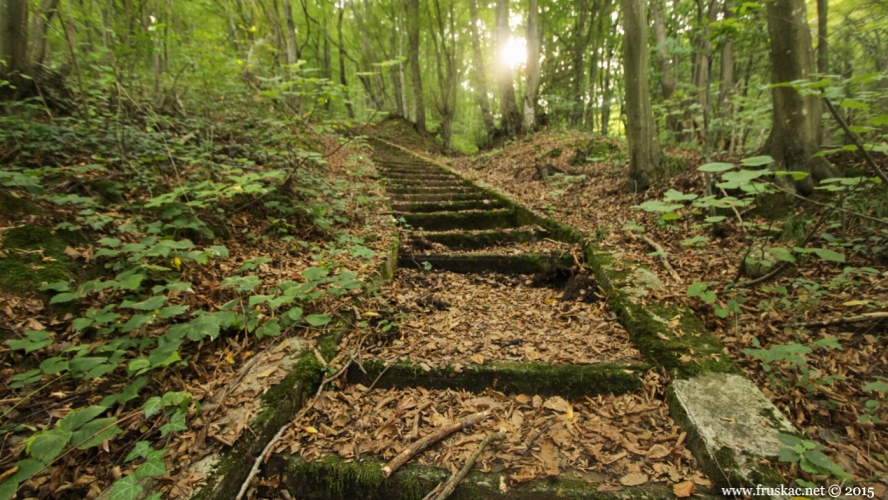 Misc - Vrdnik stairs