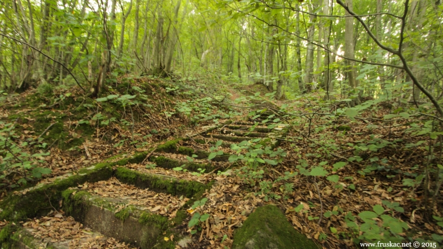 Misc - Vrdnik stairs