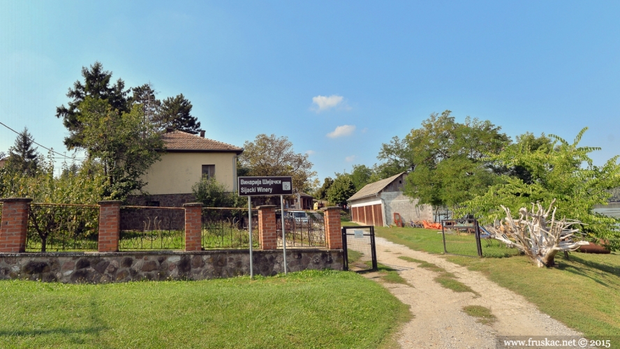 Wineries - "Šijački" Winery