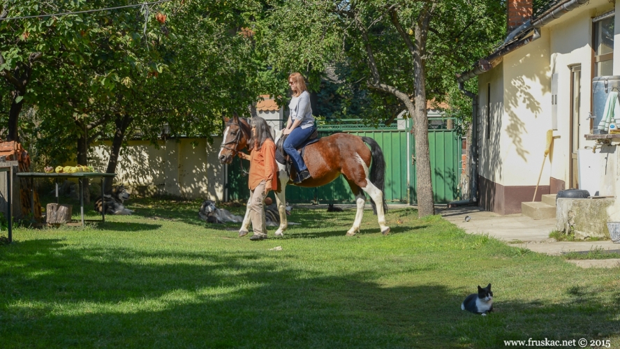 Households - "Čerević" Riding school