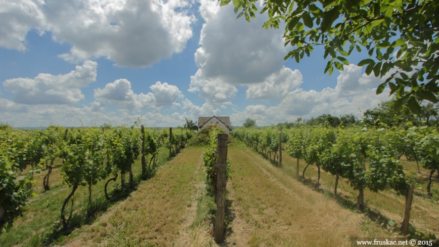 Wineries - Vinarija Tri međe i oblak