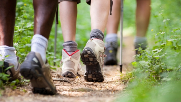 Pripremamo se za 42. Fruškogorski maraton - plan za mart 2019.