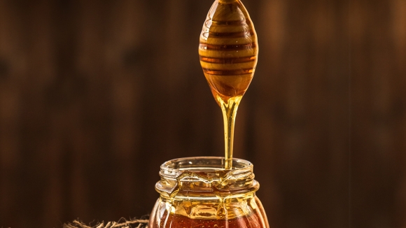 Kad zazuje pčelinji orkestri: fruškogorski lipov med