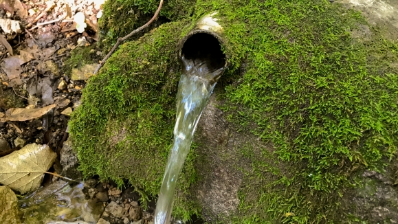 Babina česma Spring