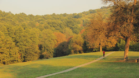 Andrevlje Picnic Area