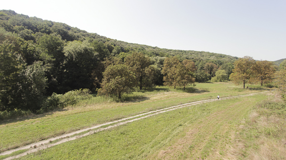 Valley of Chestnuts