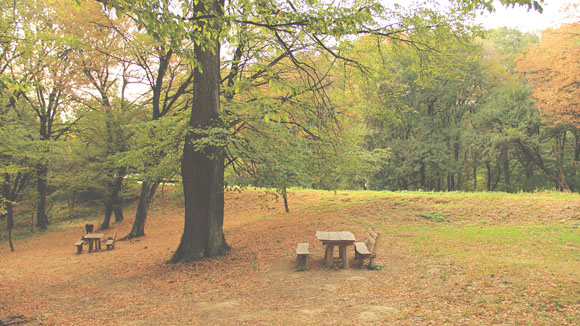 Kraljev Izvor Picnic Area