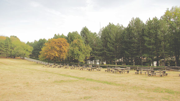 Letenka Picnic Area