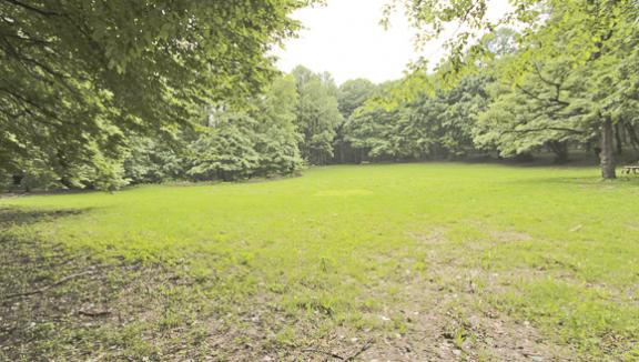 Bobelik Meadow Picnic Area