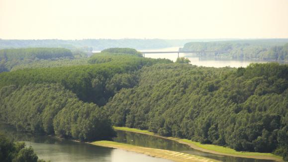 Neštin Lookout