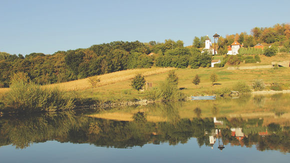 Petkovica Monastery