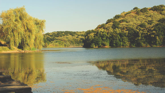 Jezero Sot