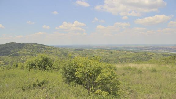 Danube's Lookout